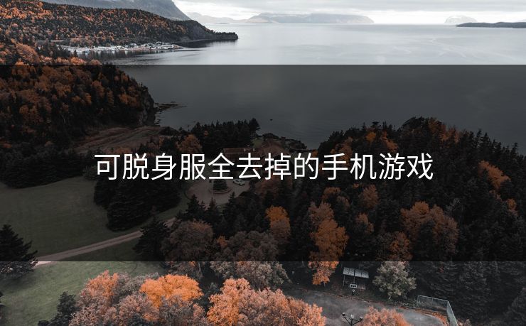可脱身服全去掉的手机游戏