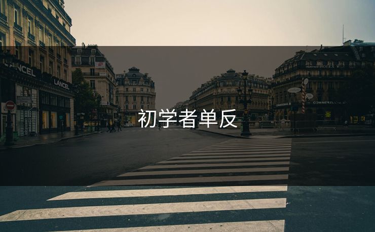 初学者单反